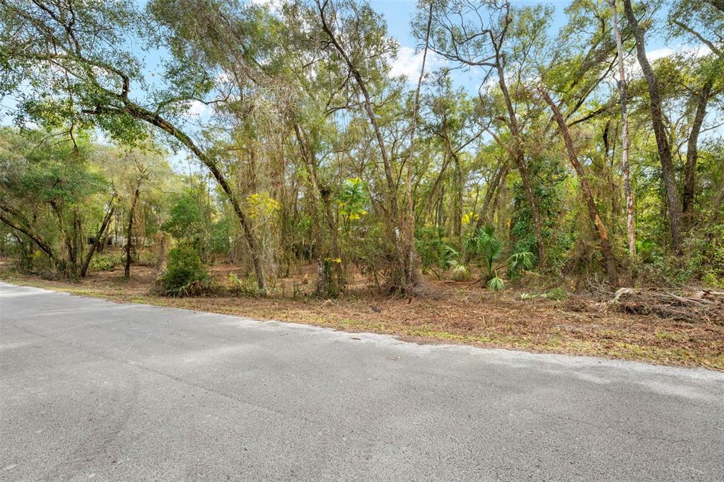 3910 East Scotty Street Inverness, FL 34453 - Photo 31 of 36 a view of a field with trees in the background