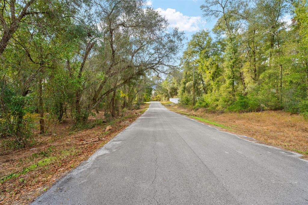 3910 East Scotty Street Inverness, FL 34453 - Photo 34 of 36 a view of a backyard of the house