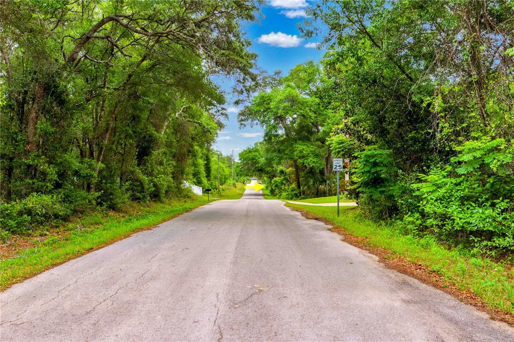 3910 East Scotty Street Inverness, FL 34453 - Photo 35 of 36 a view of a road with a yard
