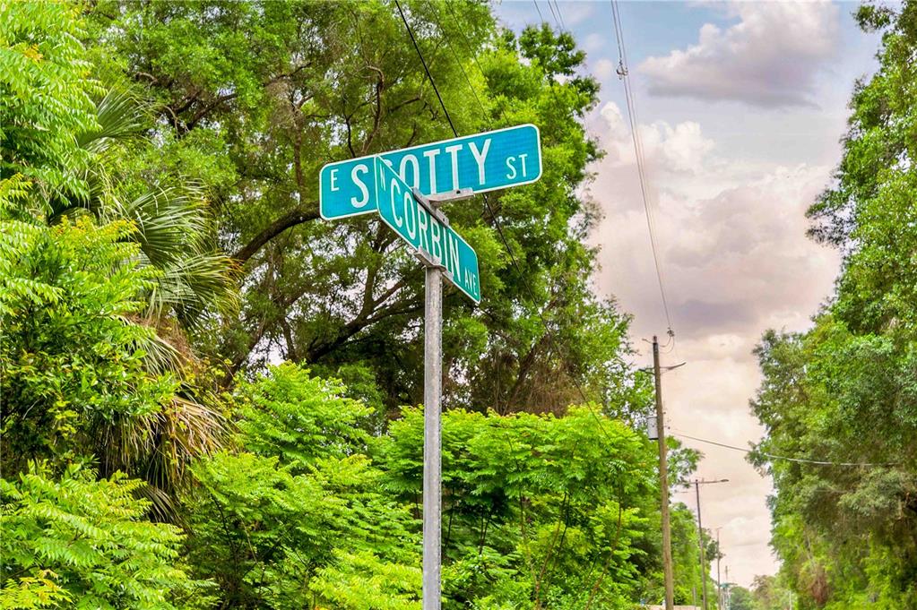 3910 East Scotty Street Inverness, FL 34453 - Photo 36 of 36