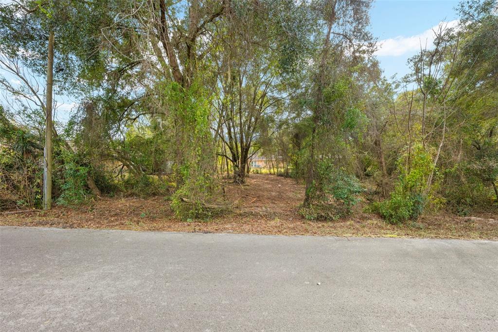 3910 East Scotty Street Inverness, FL 34453 - Photo 5 of 36 a view of dirt yard with a tree
