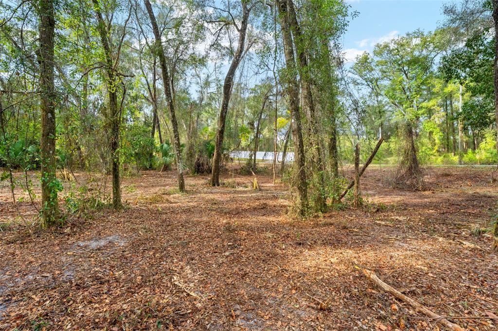 3910 East Scotty Street Inverness, FL 34453 - Photo 7 of 36