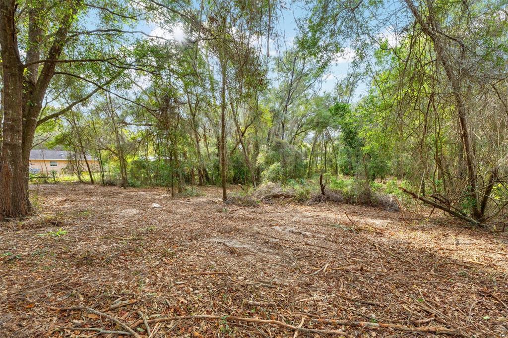 3910 East Scotty Street Inverness, FL 34453 - Photo 8 of 36 a view of outdoor space with trees