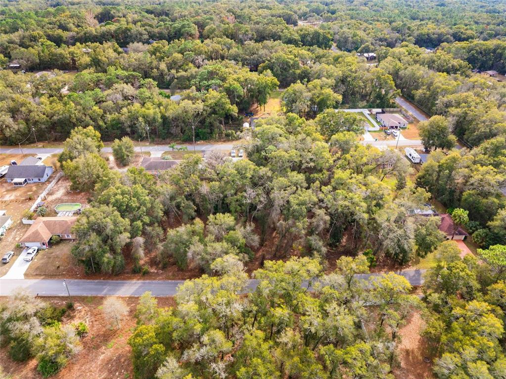 3910 East Scotty Street Inverness, FL 34453 - Photo 10 of 36