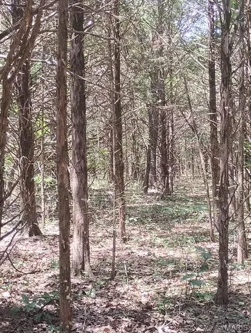 $89,900 | 125 125 Blessing (heritage Bend, Unit PROTEM, Protem, MO 65733