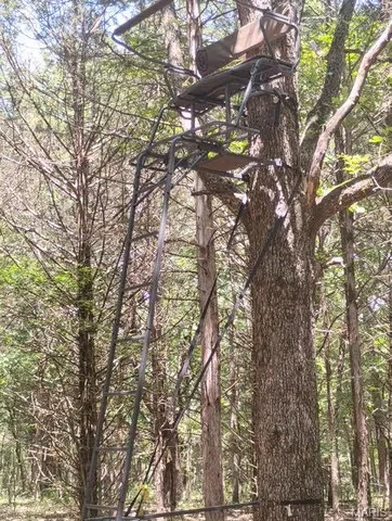 $89,900 | 125 125 Blessing (heritage Bend, Unit PROTEM, Protem, MO 65733