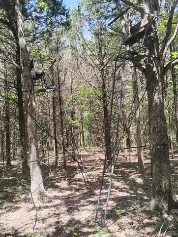 $89,900 | 125 125 Blessing (heritage Bend, Unit PROTEM, Protem, MO 65733