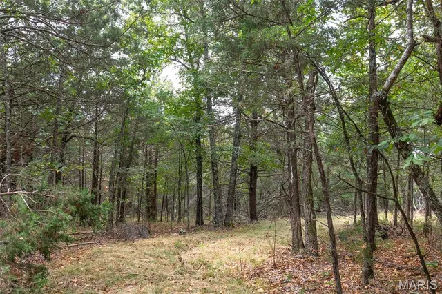 $89,900 | 125 125 Blessing (heritage Bend, Unit PROTEM, Protem, MO 65733