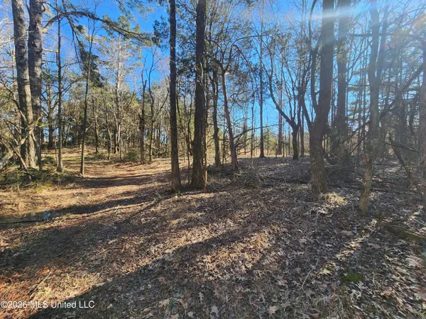 $78,500 | 3736 Wyatte-Tyro Road, Senatobia, MS 38668