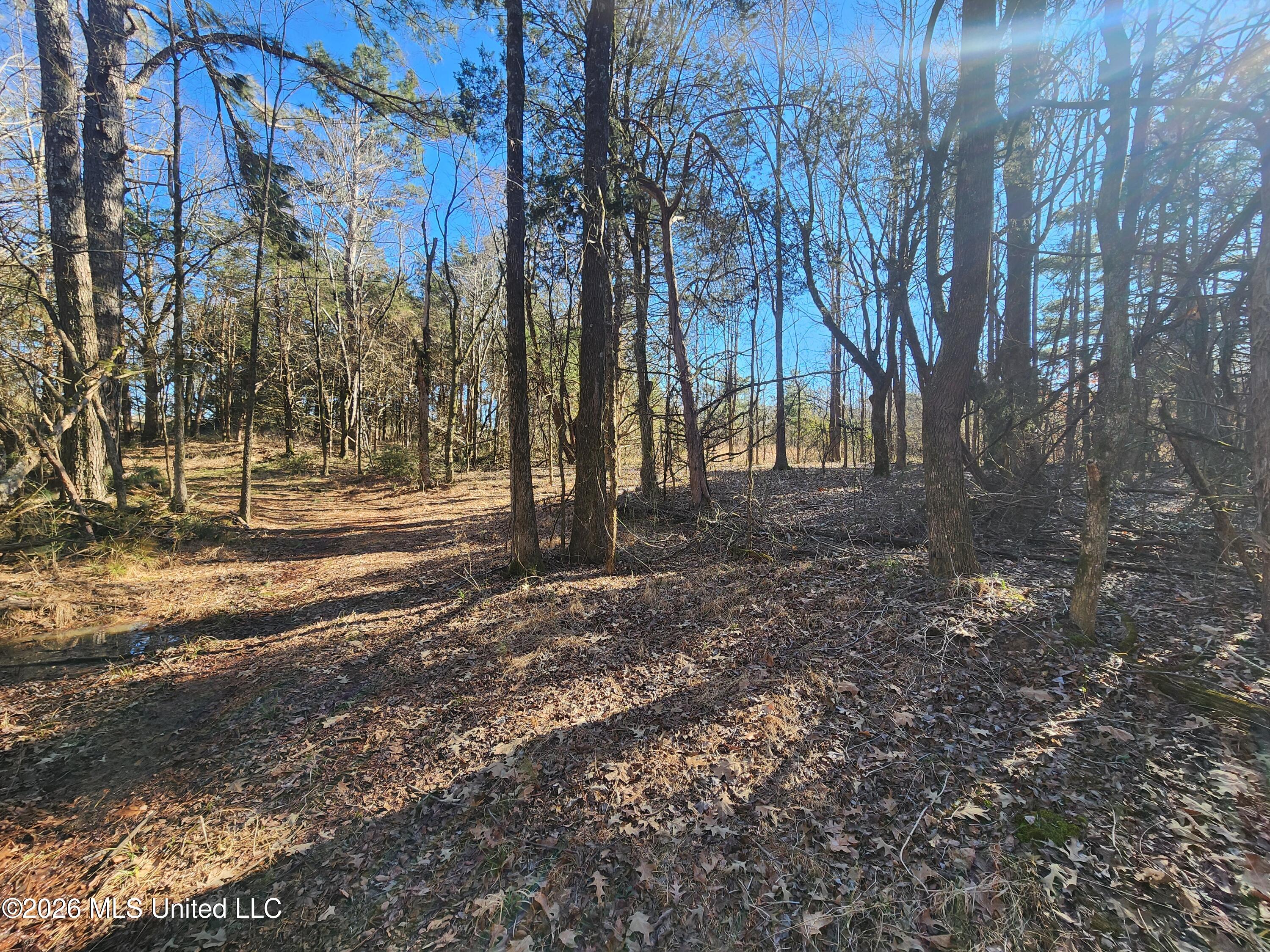 3736 Wyatte-Tyro Road Senatobia, MS 38668 - Photo 11 of 20 20260227_151245