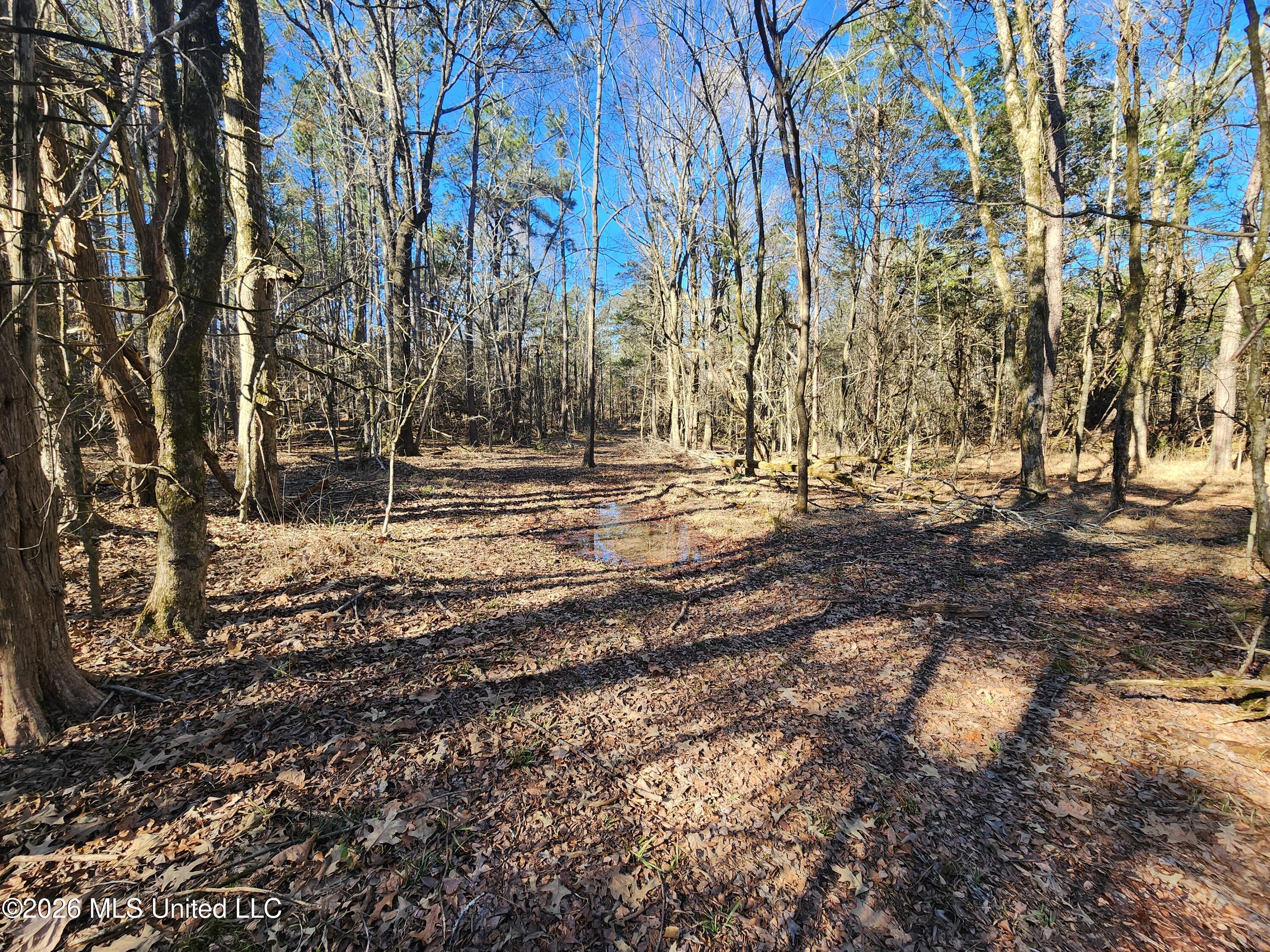 3736 Wyatte-Tyro Road Senatobia, MS 38668 - Photo 13 of 20 20260227_151238