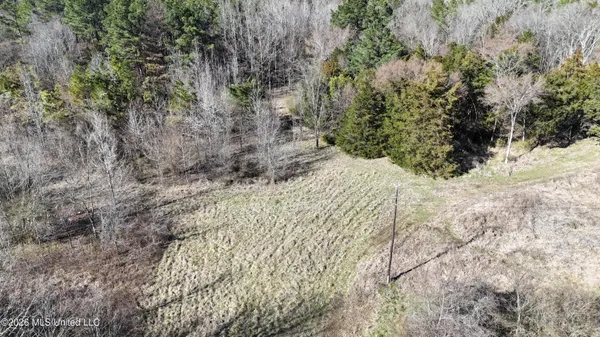 $78,500 | 3736 Wyatte-Tyro Road, Senatobia, MS 38668