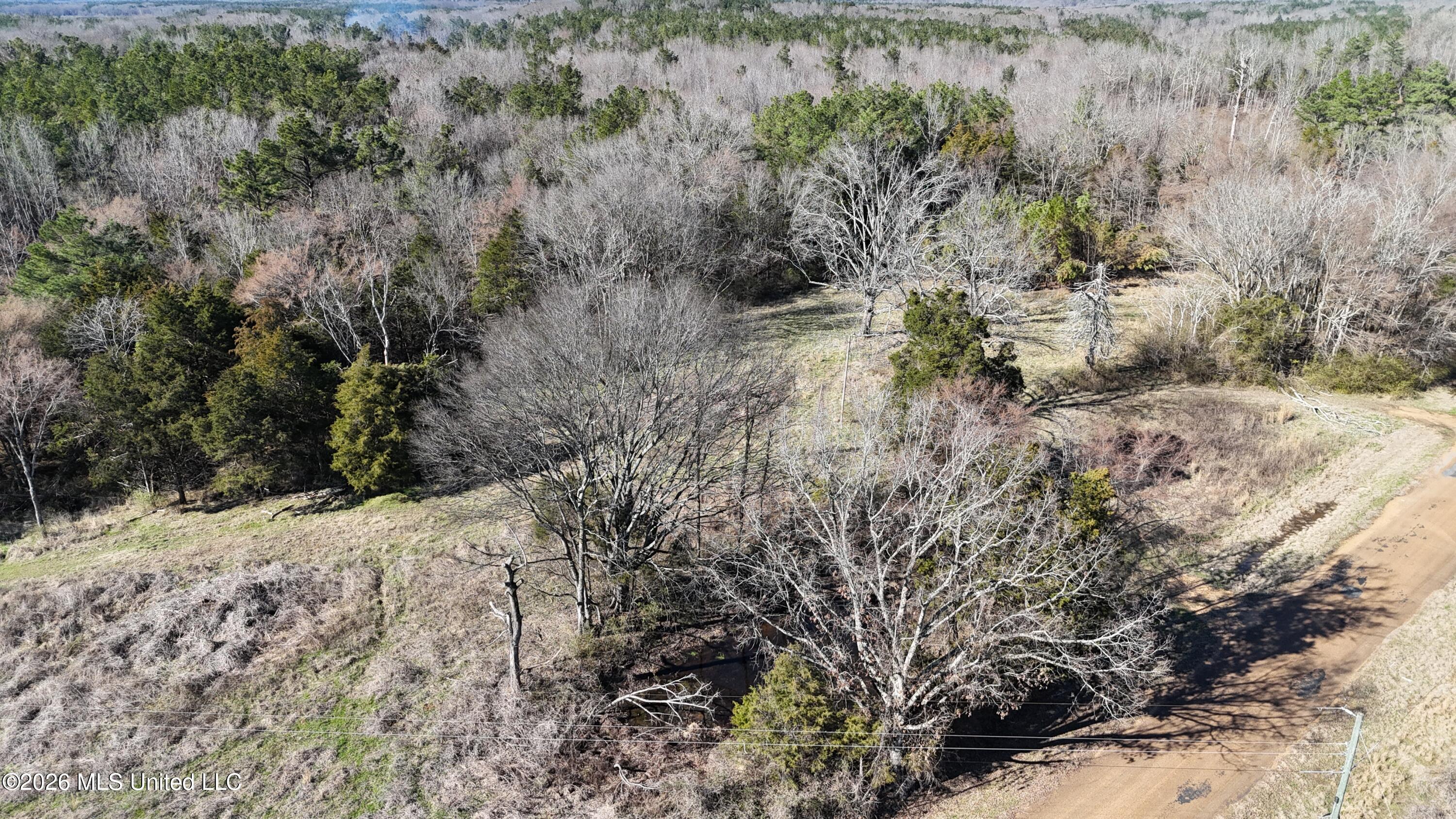 3736 Wyatte-Tyro Road Senatobia, MS 38668 - Photo 16 of 20 DJI_20260227154345_0859_D