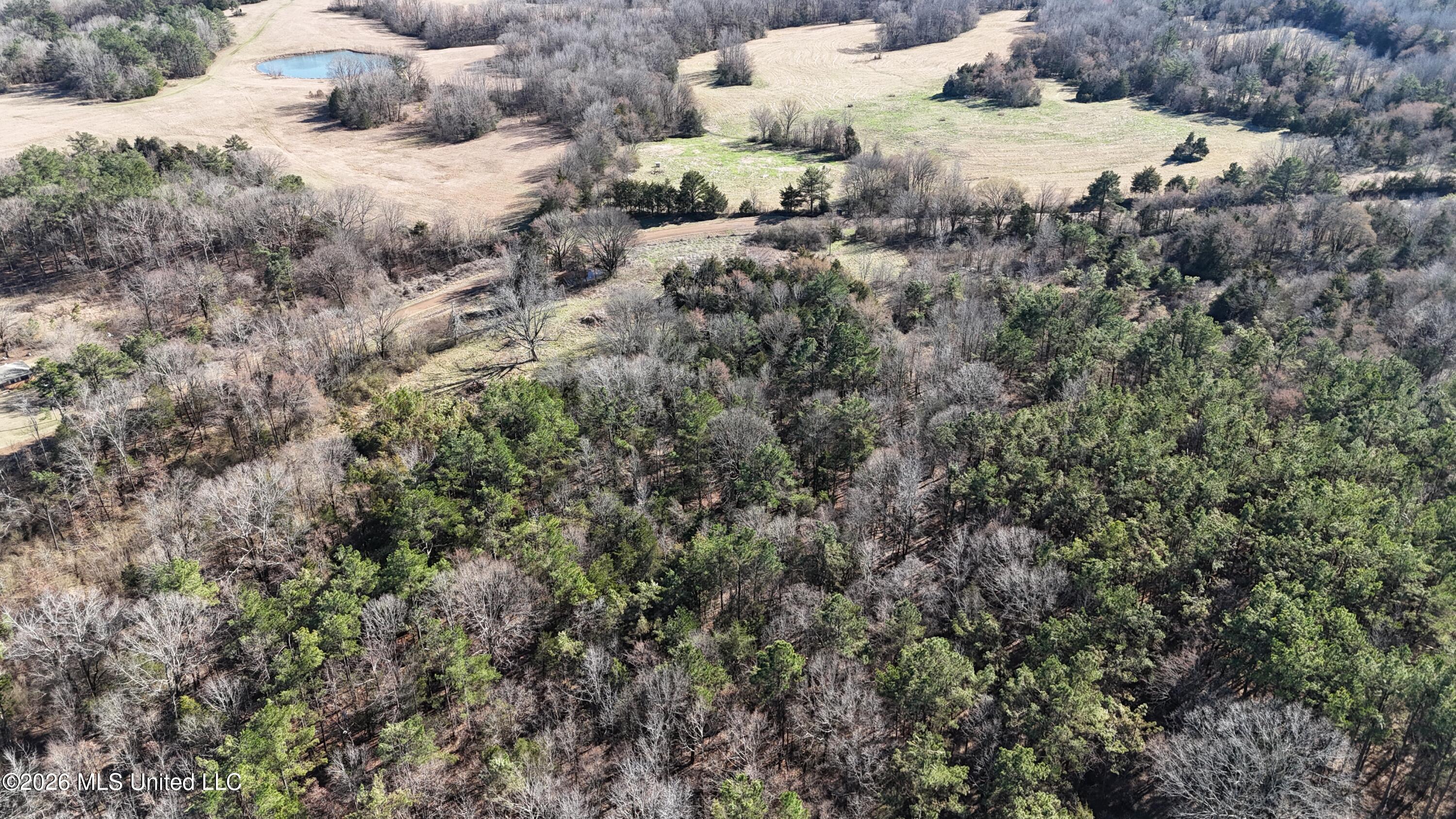 3736 Wyatte-Tyro Road Senatobia, MS 38668 - Photo 19 of 20 DJI_20260227154049_0852_D