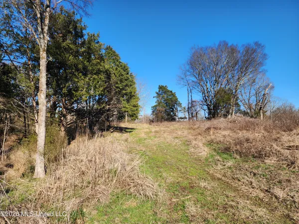 $78,500 | 3736 Wyatte-Tyro Road, Senatobia, MS 38668