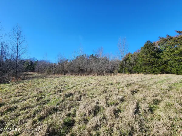 $78,500 | 3736 Wyatte-Tyro Road, Senatobia, MS 38668