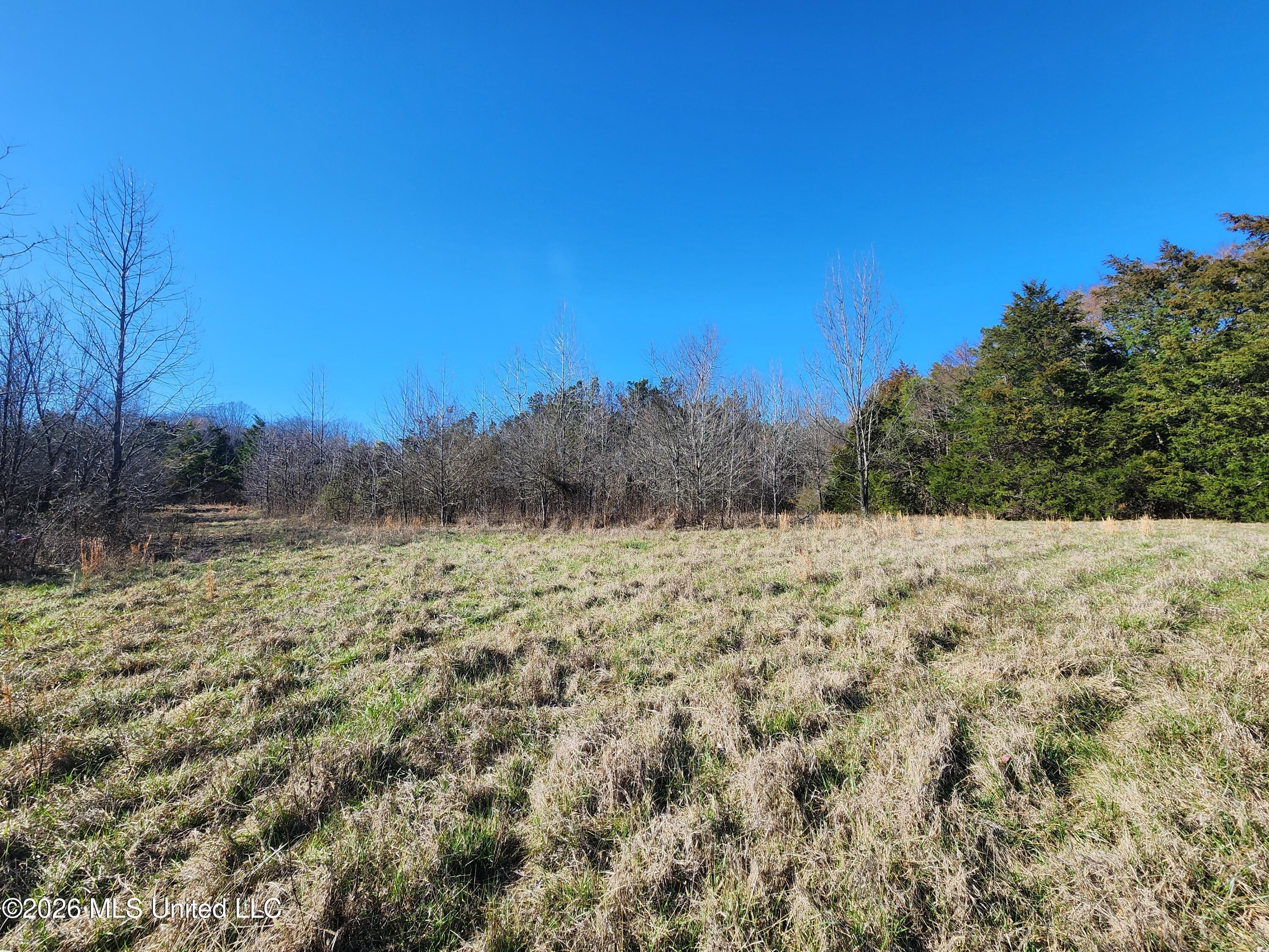 3736 Wyatte-Tyro Road Senatobia, MS 38668 - Photo 5 of 20 20260227_145949