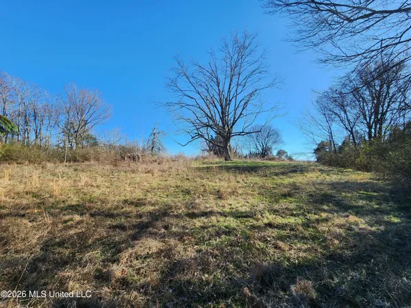 $78,500 | 3736 Wyatte-Tyro Road, Senatobia, MS 38668