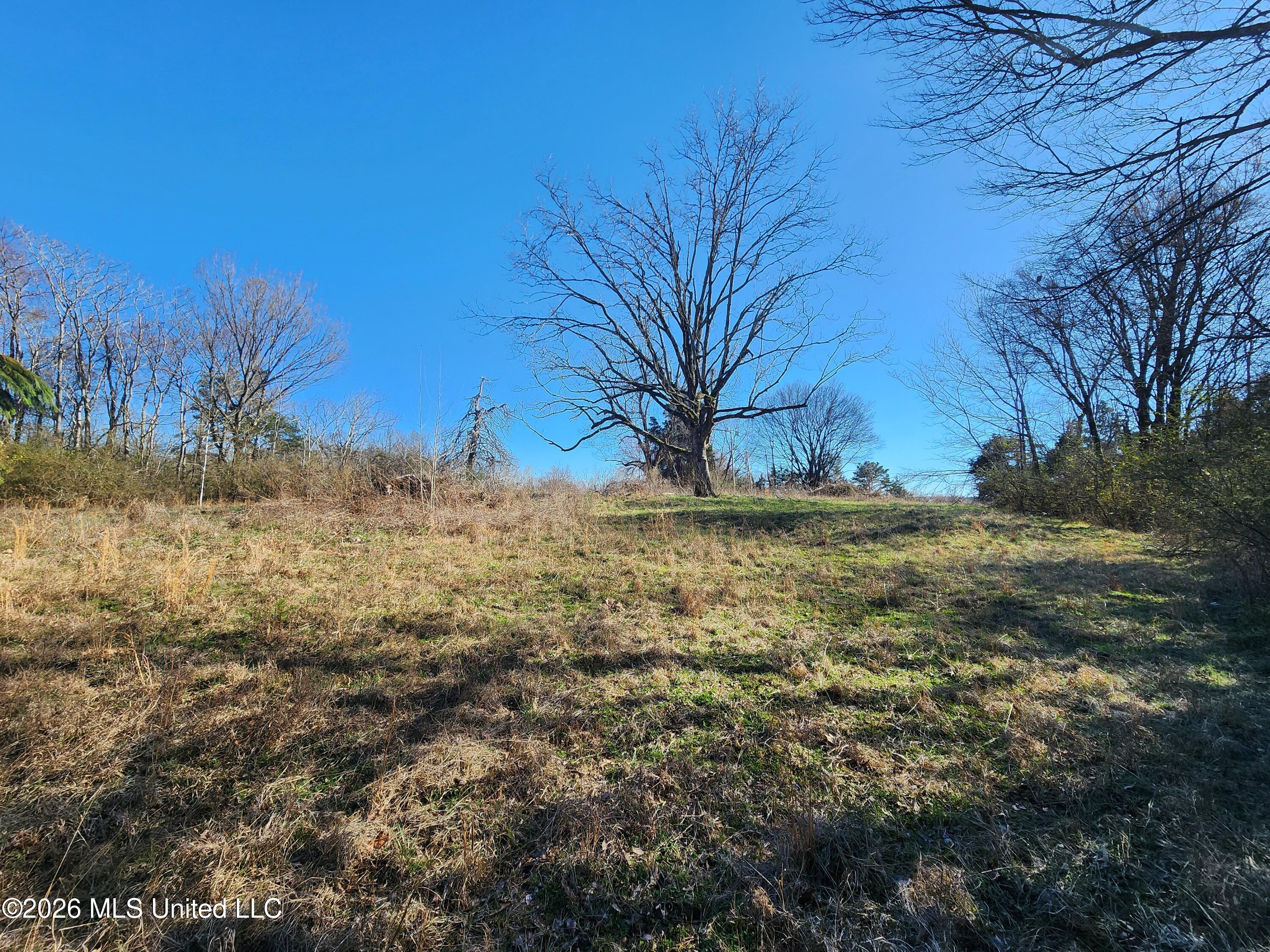 3736 Wyatte-Tyro Road Senatobia, MS 38668 - Photo 6 of 20 20260227_150806