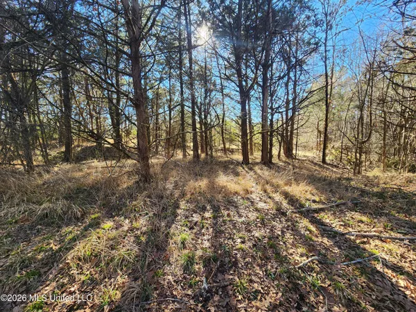 $78,500 | 3736 Wyatte-Tyro Road, Senatobia, MS 38668