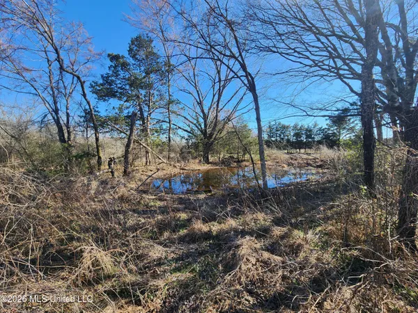 $78,500 | 3736 Wyatte-Tyro Road, Senatobia, MS 38668