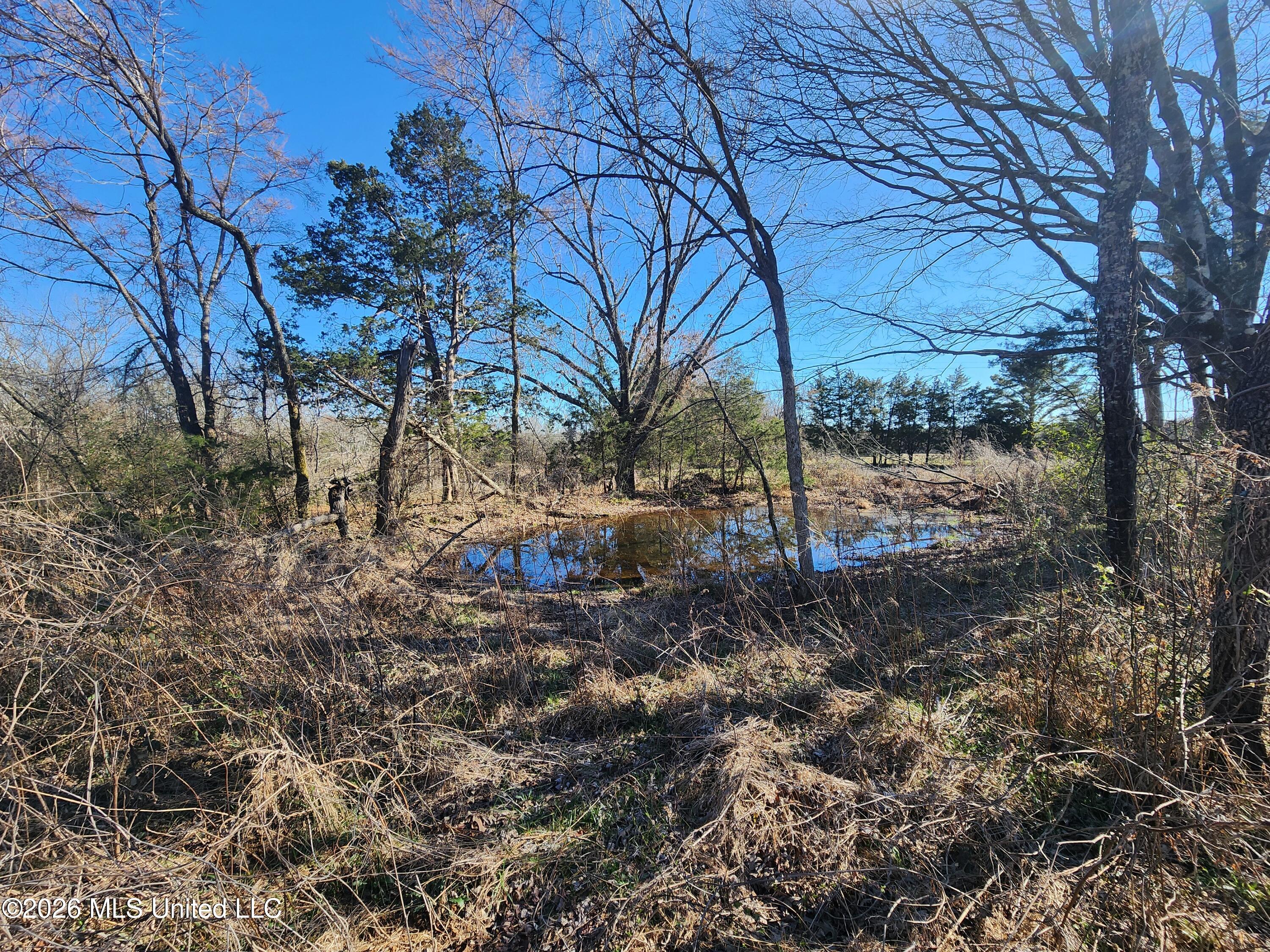 3736 Wyatte-Tyro Road Senatobia, MS 38668 - Photo 9 of 20 20260227_150448