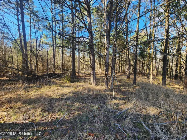 $78,500 | 3736 Wyatte-Tyro Road, Senatobia, MS 38668