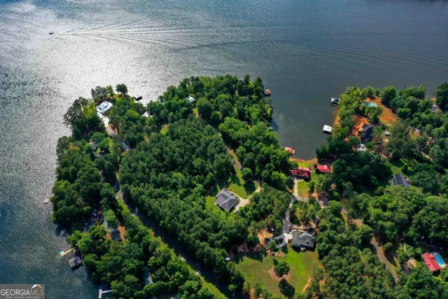 a picture of flowers