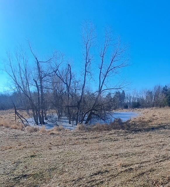 10191 Wood Road North Adams, MI 49262 - Photo 7 of 45 3090560548919175173