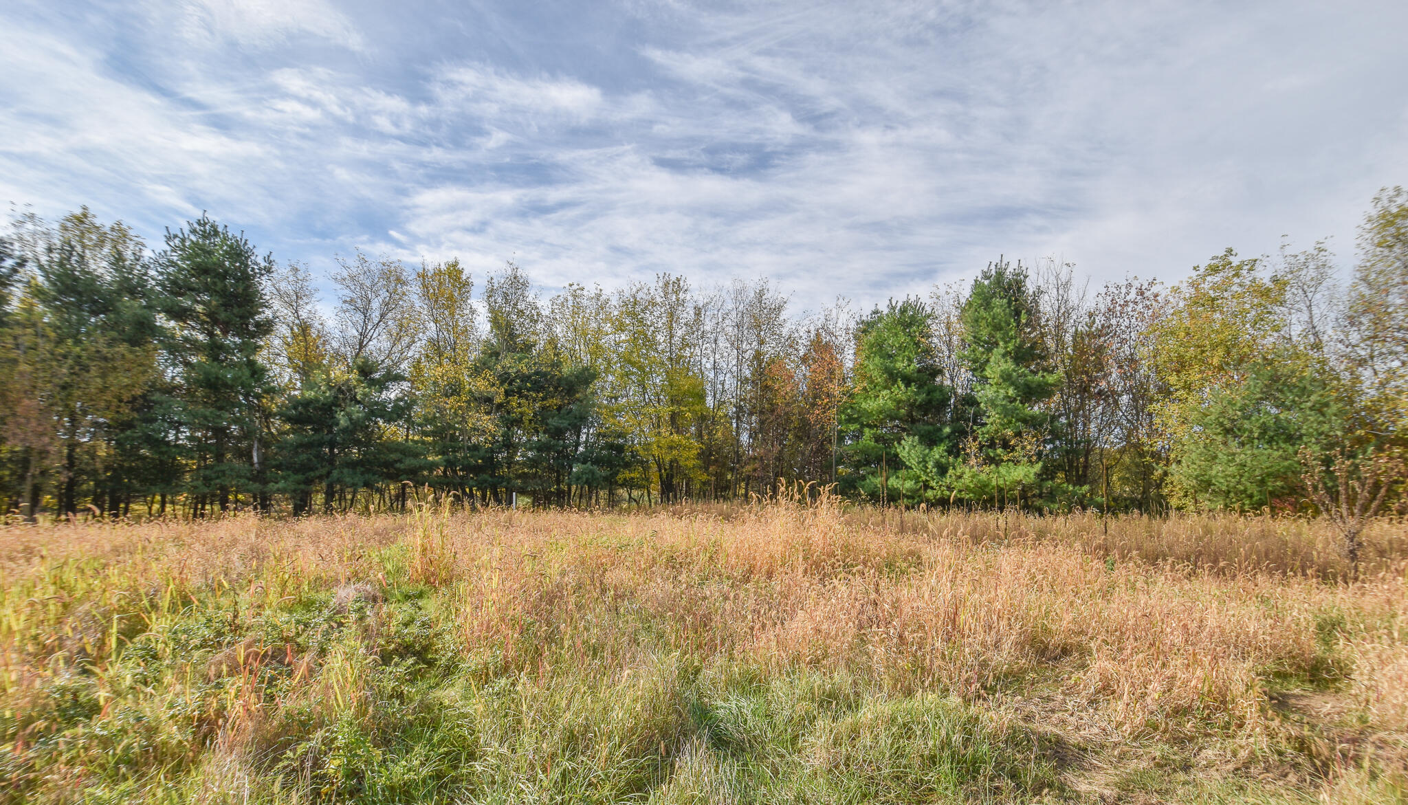 10191 Wood Road North Adams, MI 49262 - Photo 10 of 45 DSC_0176