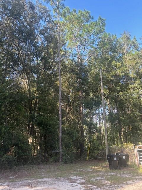 a view of a forest with trees in front of it