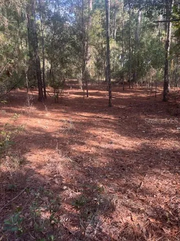 a view of outdoor space with trees