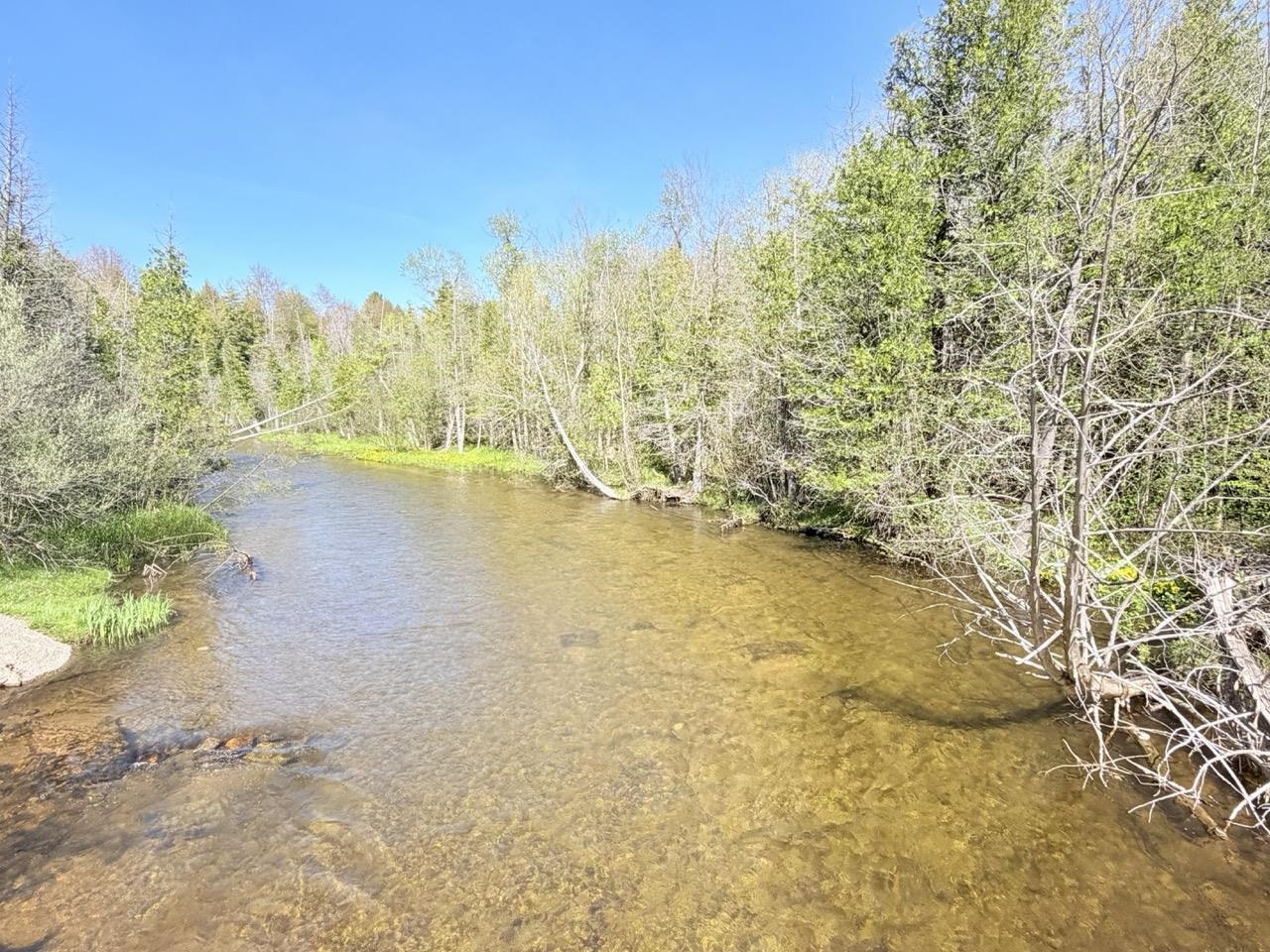 1741 North Haze Road Beulah, MI 49617 - Photo 44 of 50