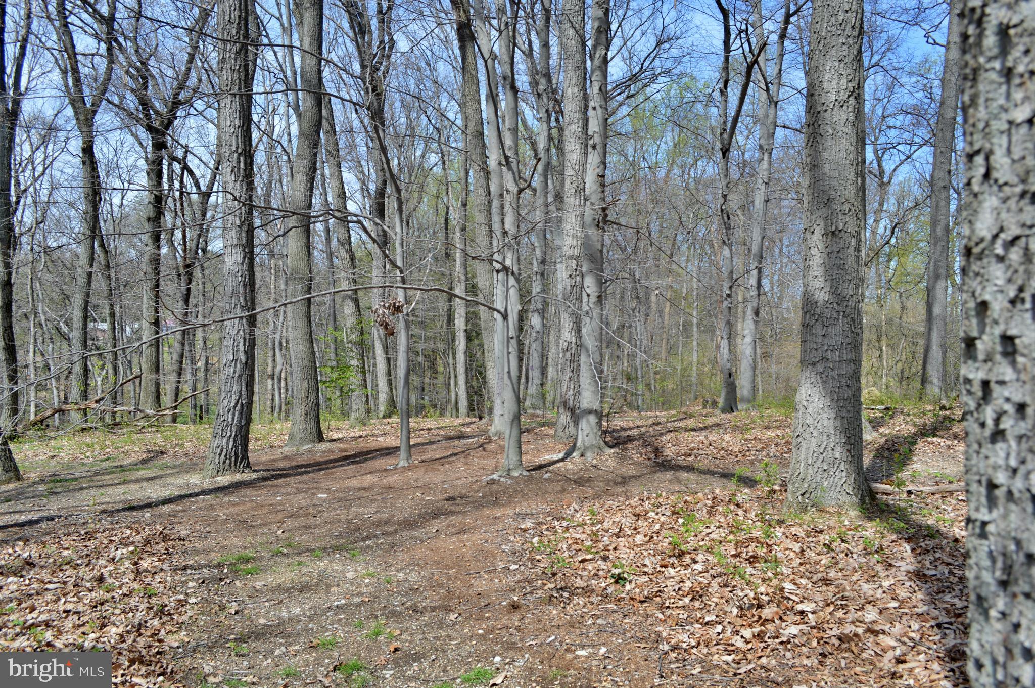 421 East Brubaker Valley Road Lititz, PA 17543 - Photo 53 of 56