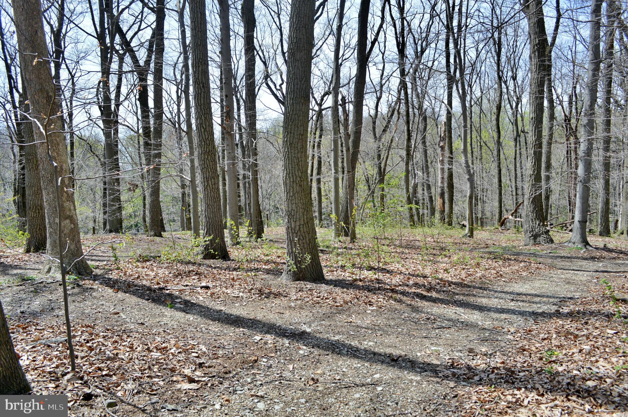 421 East Brubaker Valley Road Lititz, PA 17543 - Photo 54 of 56