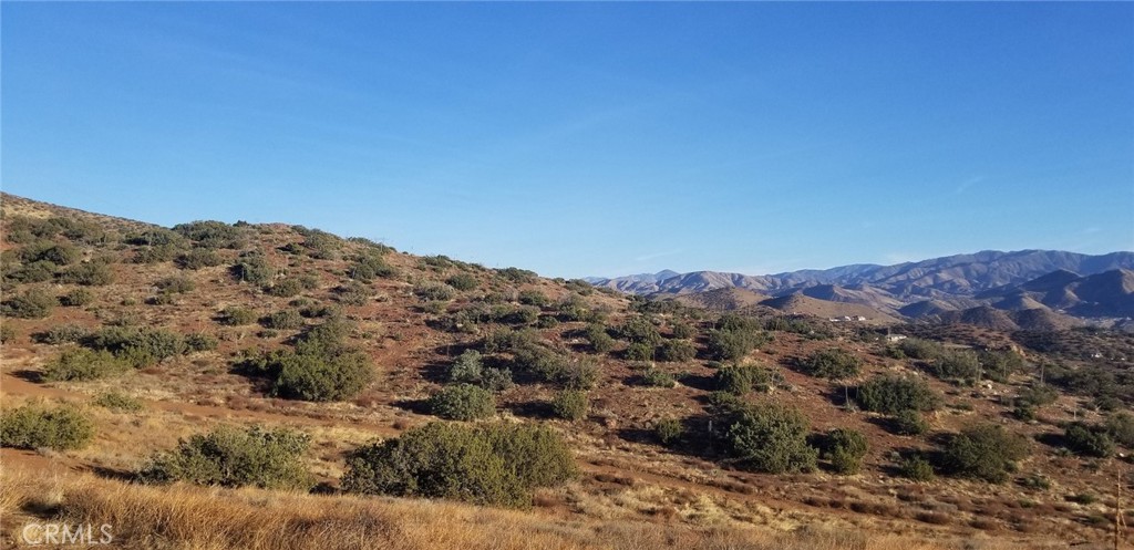 0 Rolandee Street Acton, CA 93510 - Photo 4 of 12 a view of a mountain range with trees in the background