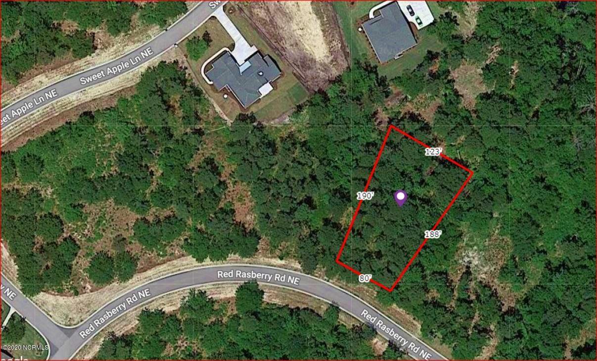 9675 Red Raspberry Road Northeast Leland, NC 28451 - Photo 1 of 1 9675 lot dimensions