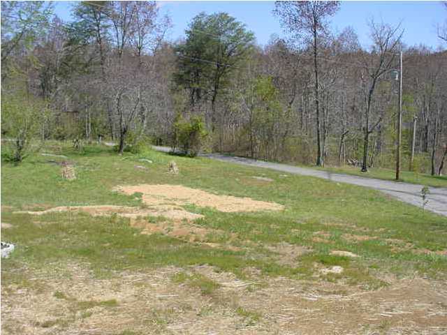 390 Bryant Road Whitwell, TN 37397 - Photo 1 of 6 Primary Photo