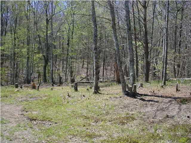 390 Bryant Road Whitwell, TN 37397 - Photo 4 of 6 Additional Photo