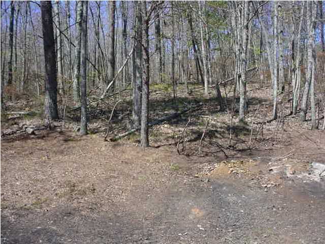 390 Bryant Road Whitwell, TN 37397 - Photo 5 of 6 Additional Photo
