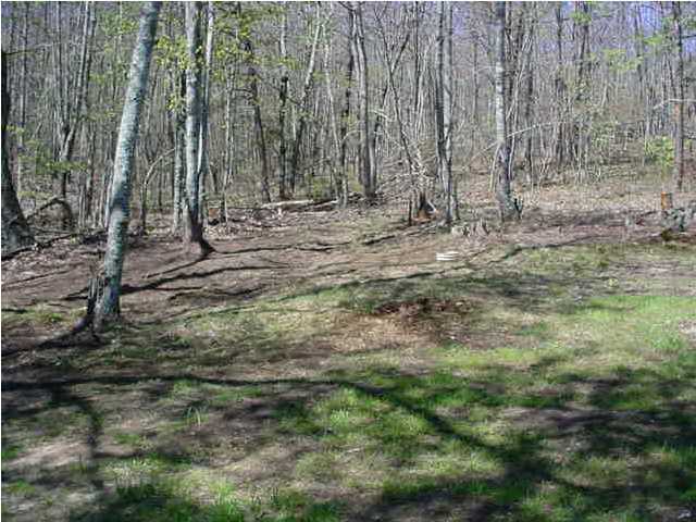 390 Bryant Road Whitwell, TN 37397 - Photo 6 of 6 Additional Photo