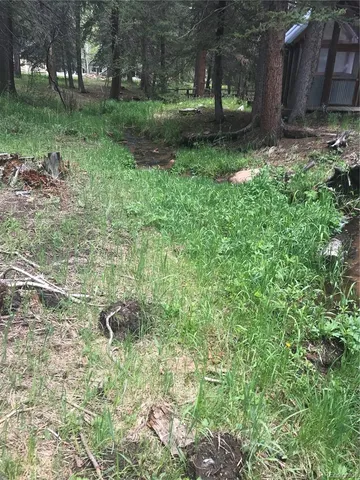 $165,000 | 0 Shadow Mountain Drive, Conifer, CO 80433