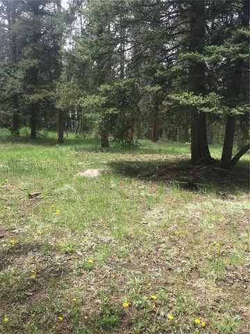 $165,000 | 0 Shadow Mountain Drive, Conifer, CO 80433