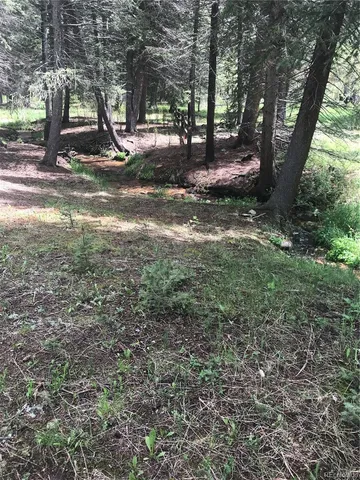 $165,000 | 0 Shadow Mountain Drive, Conifer, CO 80433
