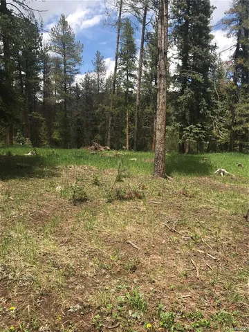 $165,000 | 0 Shadow Mountain Drive, Conifer, CO 80433