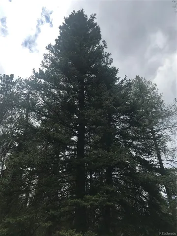 $165,000 | 0 Shadow Mountain Drive, Conifer, CO 80433