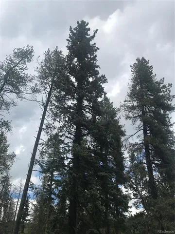 $165,000 | 0 Shadow Mountain Drive, Conifer, CO 80433