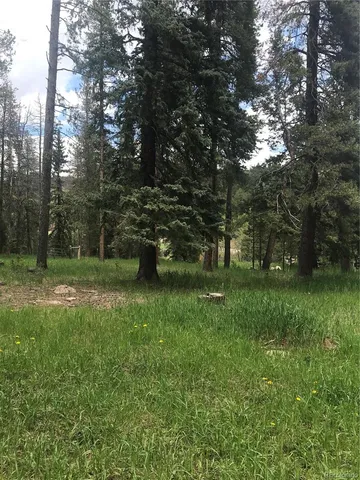 $165,000 | 0 Shadow Mountain Drive, Conifer, CO 80433