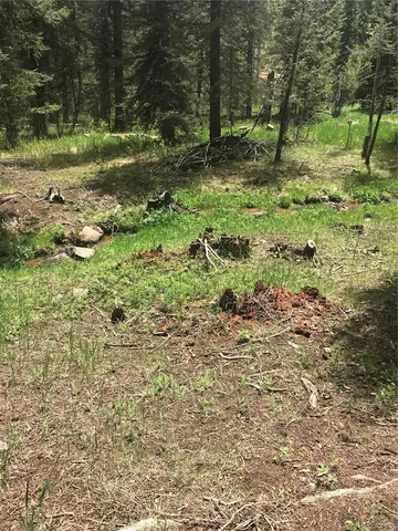 $165,000 | 0 Shadow Mountain Drive, Conifer, CO 80433