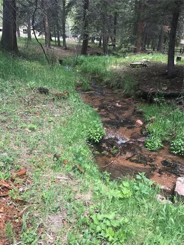 $165,000 | 0 Shadow Mountain Drive, Conifer, CO 80433